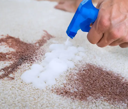 Carpet Stain Removal Service