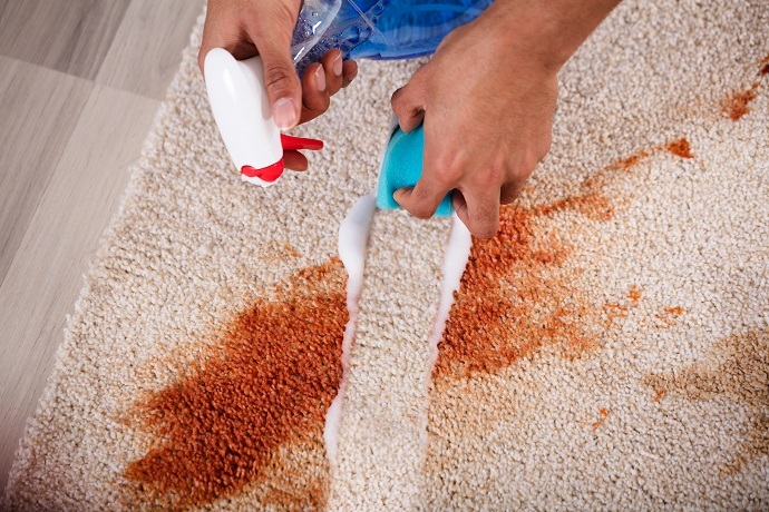 Carpet Spot Cleaner