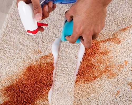 Remove Coffee Stain From Rug