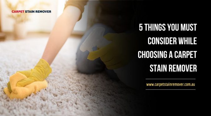 5 Things You Must Consider While Choosing A Carpet Stain Remover