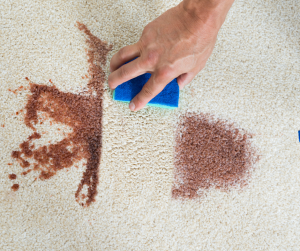 Carpet stain remover