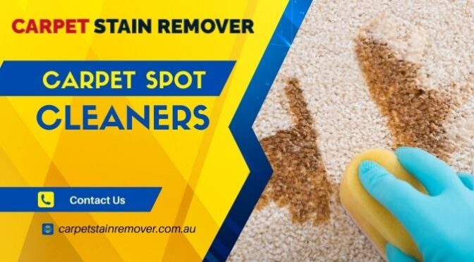 DIY vs. Professional Carpet Spot Cleaners: What Works Best?