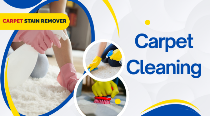 Transform Your Carpets: Revolutionary Cleaning Agents and Their Impact