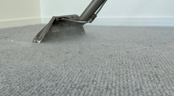 remove from carpets