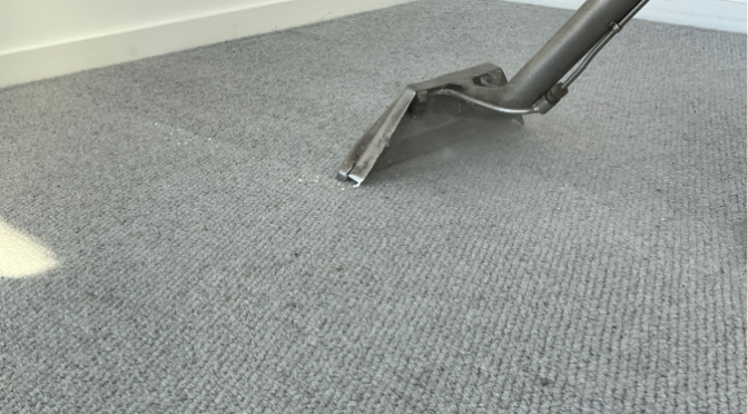 Solutions for Every Carpet