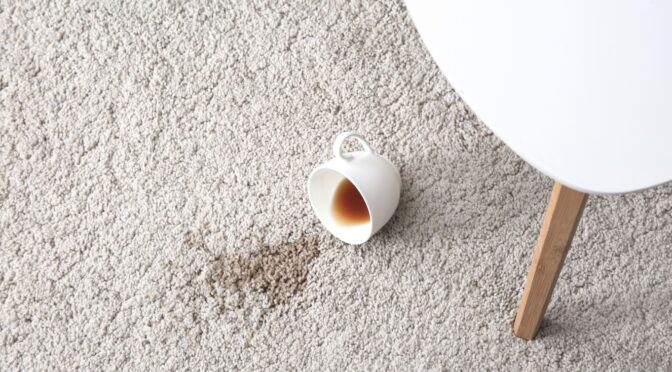 Why Should You Avoid DIY Carpet Stain Removal on Specialty Carpets?