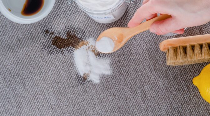 How Can You Extend the Life of Your Carpet with Regular Stain Treatments?