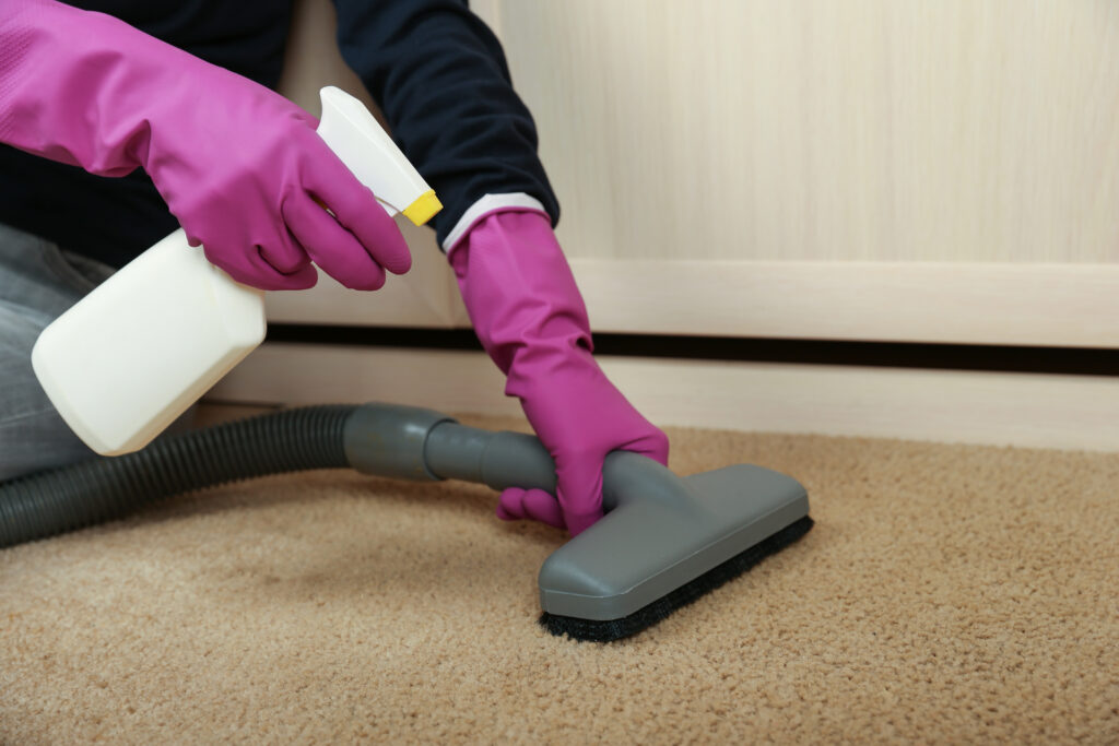  Safe Carpet Cleaning