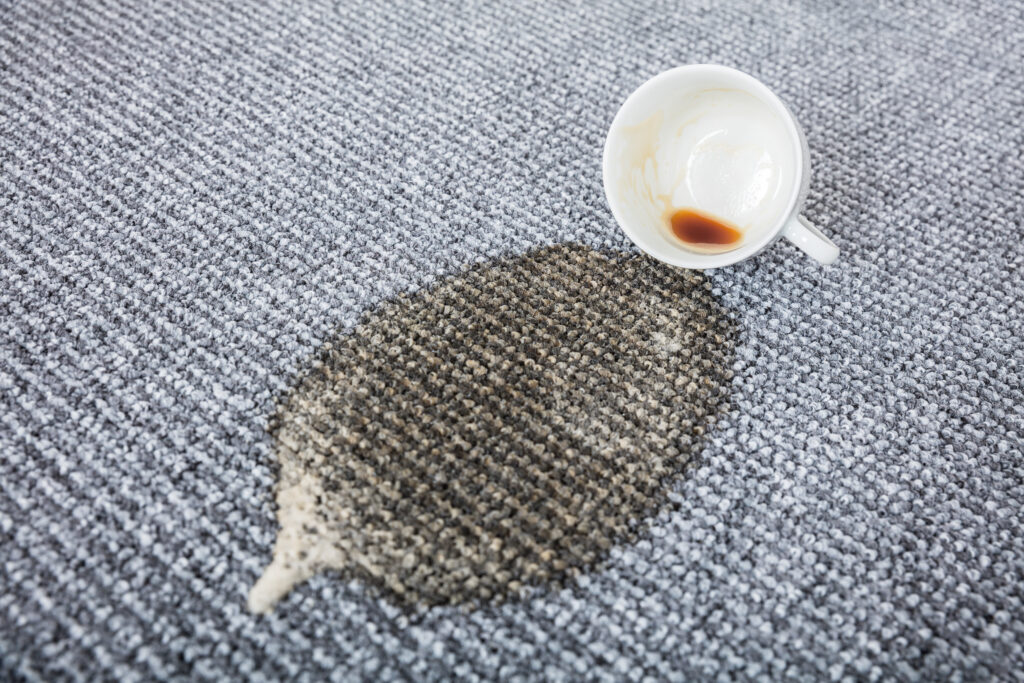 stain-free carpet solutions