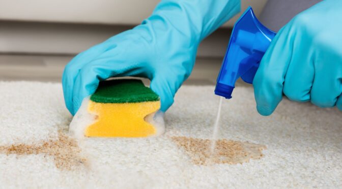 What Are the Dangers of Using Harsh Chemicals on Carpets?