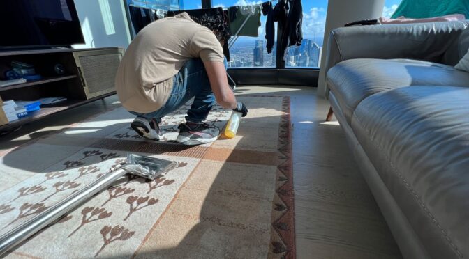 Why Are Eco-Friendly Carpet Stain Removers the Better Choice?