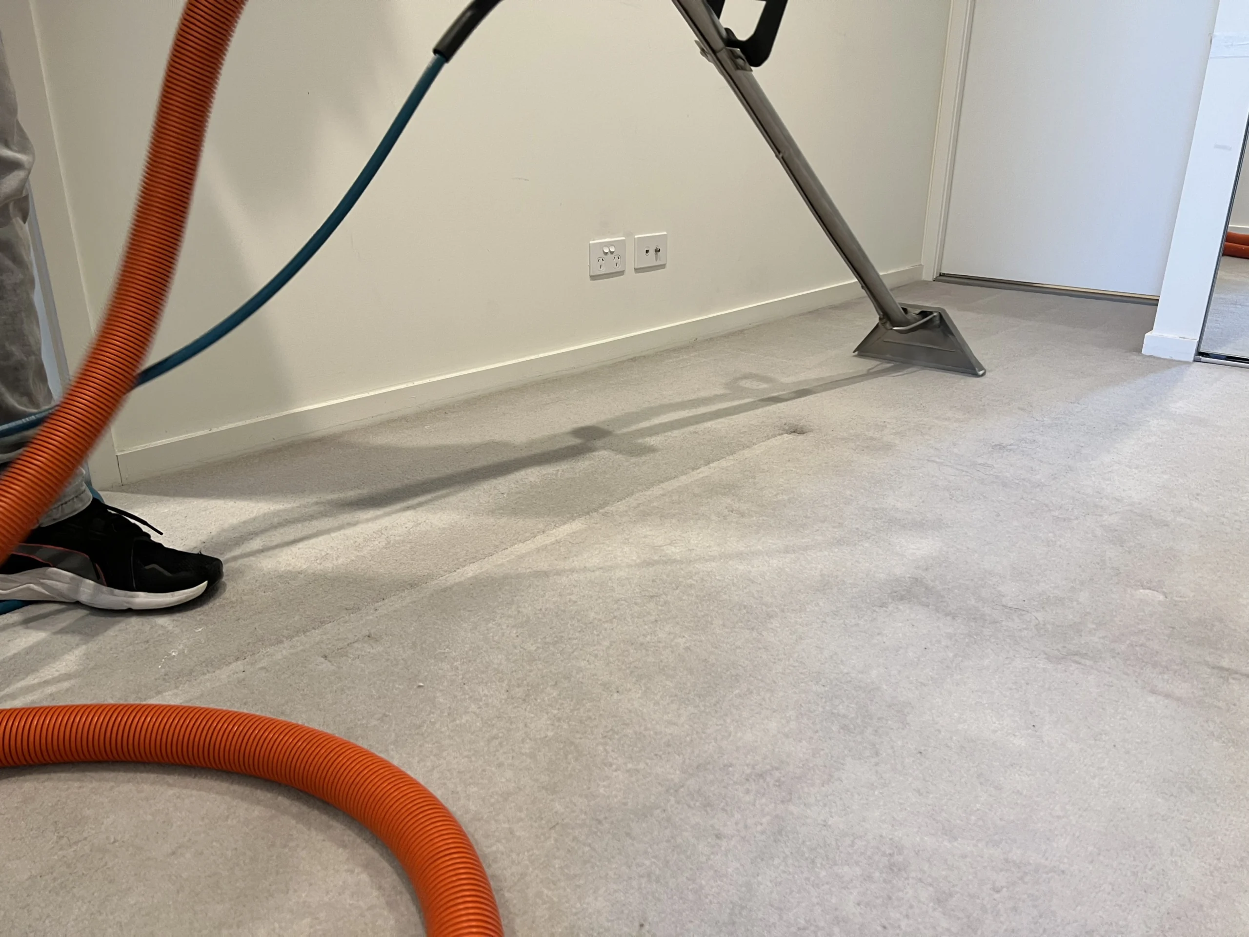 Carpet Cleaner