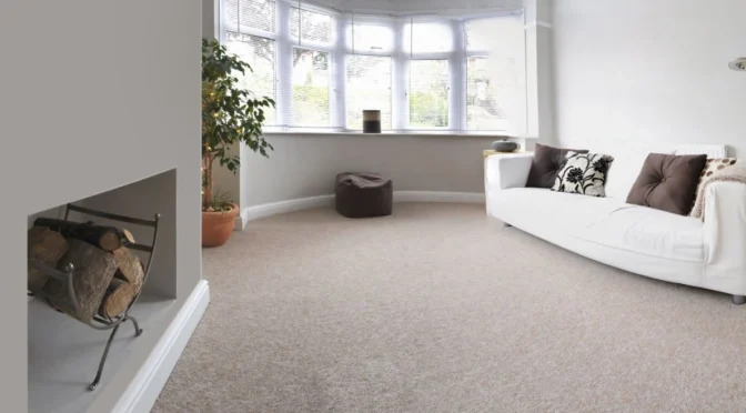 What Should You Ask Before Hiring a Carpet Stain Removal Company?