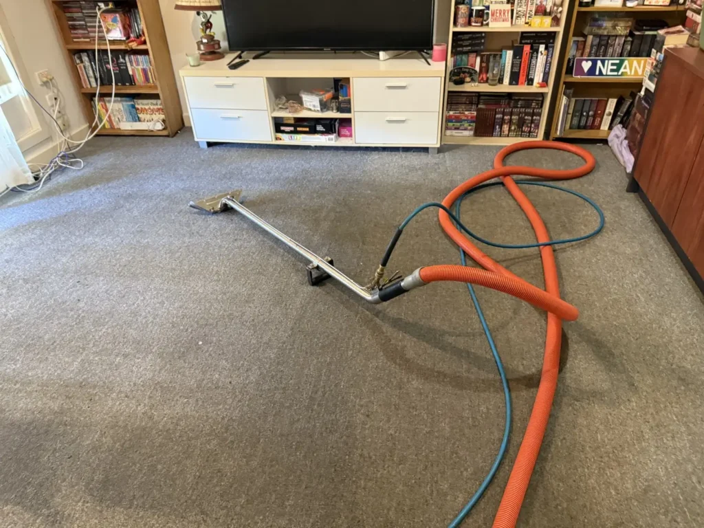 cleaning experts for carpets
