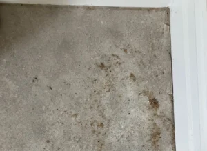 Dirty Carpet