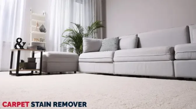 How Can Regular Carpet Cleaning Reduce Allergy Triggers?