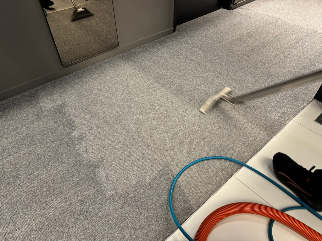 Best Carpet Cleaning Services