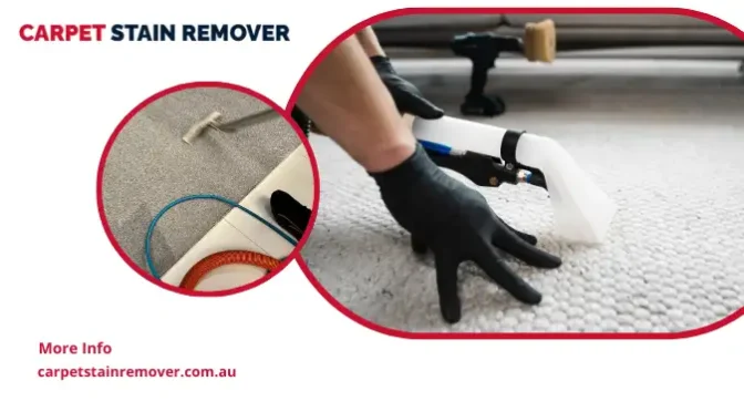 Why Is Deep Cleaning Essential for Maintaining Carpet Quality?